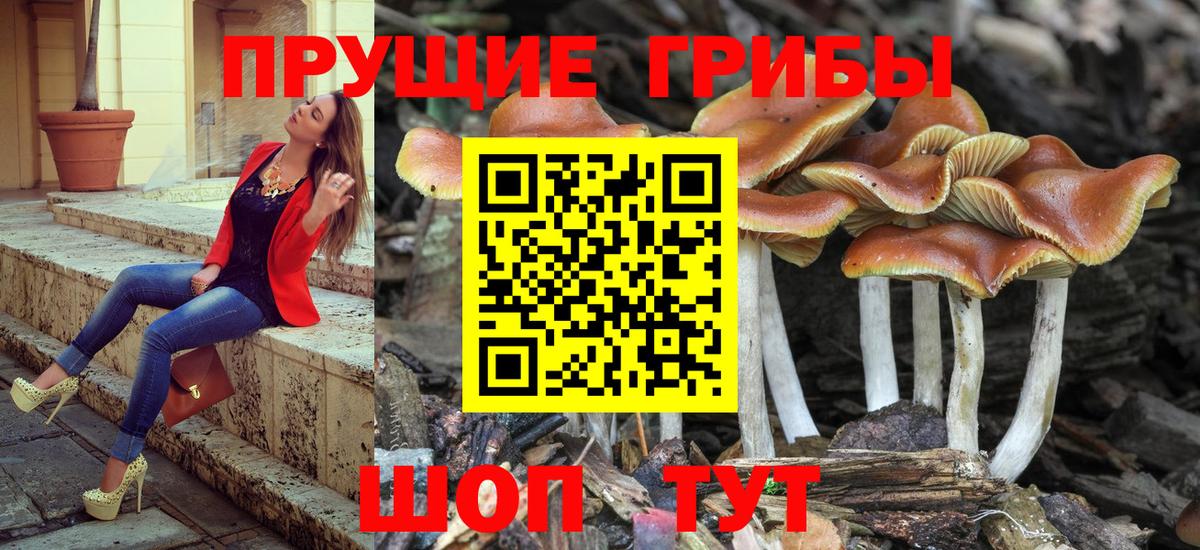 Псилоцибиновые грибы прущие грибы  Вход с VPN  Амурск 
